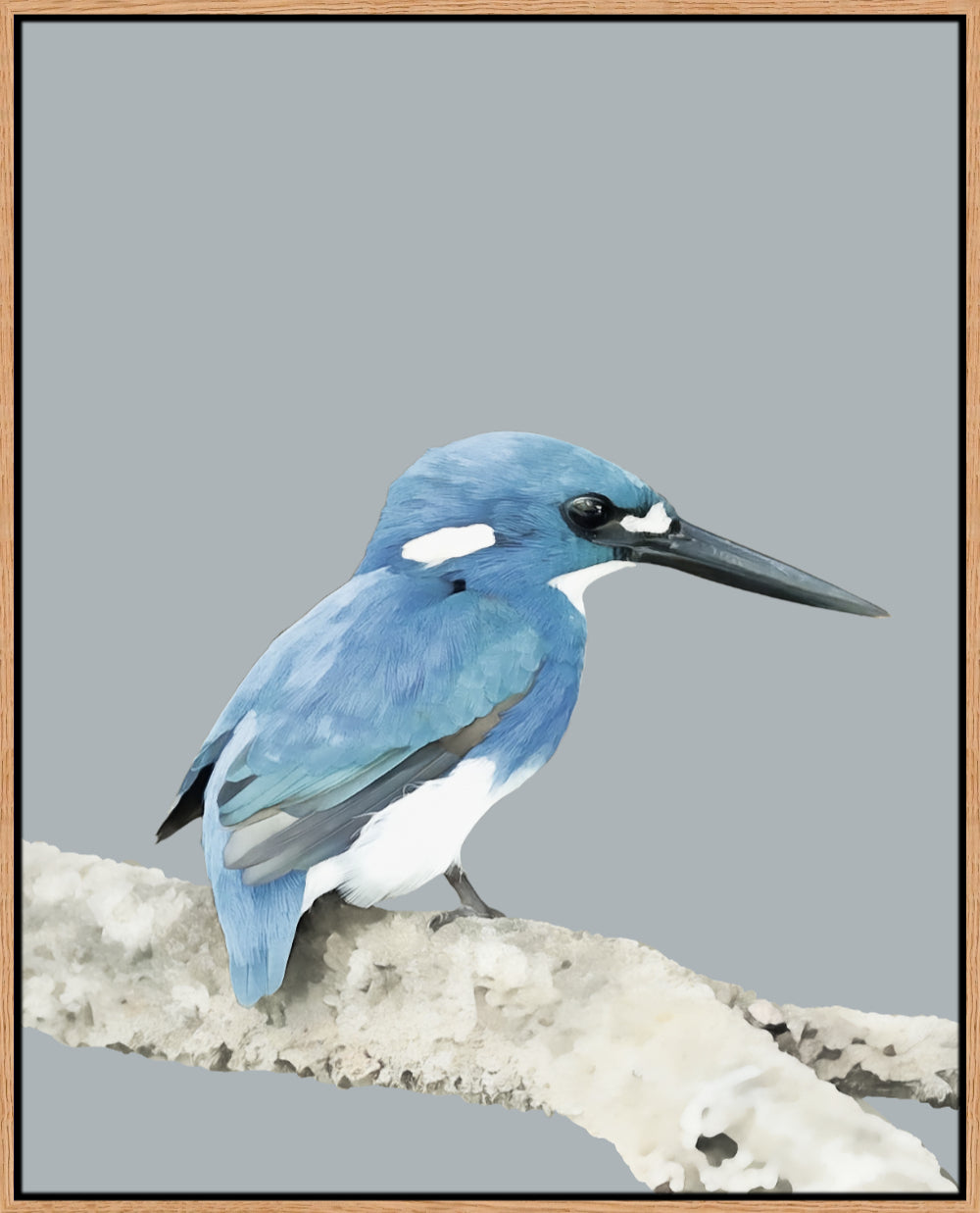 Kingfisher Framed Print – Little Blue | Elegant Bird Wall Art for Nature Lovers