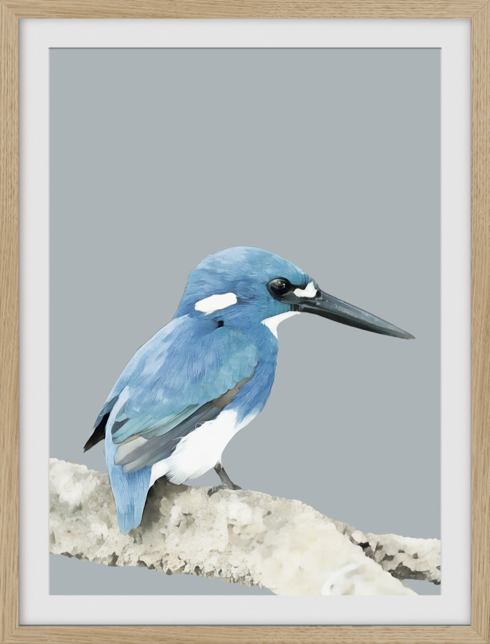 Kingfisher Framed Print – Little Blue | Elegant Bird Wall Art for Nature Lovers